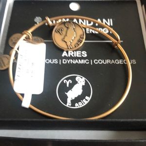 New Alex and ani Aries bracelet